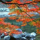 청계농산