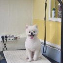 멍블멍블 이미지