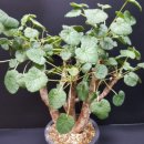 한종농장 이미지