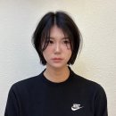 스파 앤 컷 이미지