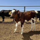 소이메디칼 이미지