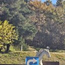 팀더블유 이미지