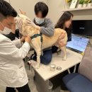 범어동물병원 이미지