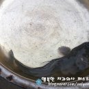 중앙촌길 이미지