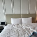 솔트 레이크 | 잠실 소피텔 럭셔리 레이크룸 후기｜뷰는 미쳤는데 가격은… (룸 상세 리뷰, 룸서비스 메뉴 링크)