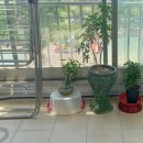 도계동 정류소앞 이미지