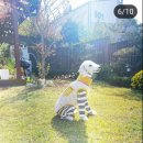 돌담과 초록 이미지