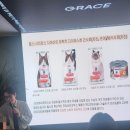 그레이스 고양이 병원 | 그레이스 고양이병원(나응식수의사) - 고양이학교 구토강의 후기