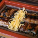 삼막풍천장어