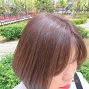 5158 | 대구 중구 미용실 단발컷 애쉬브라운 염색 후기