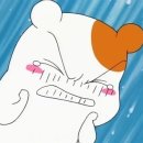 우리집 강아지 이미지