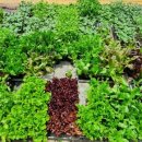 제일종묘사 이미지