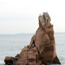 해수욕장길 이미지