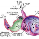 진위사료 이미지
