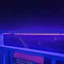 삼학호스텔 | 여수 여행 다녀온 후기 커플여행