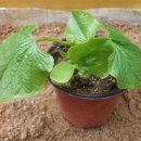 컨테이너 비어 이미지