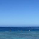 와이키키포케 이미지