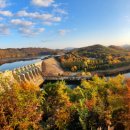 신탄진초교 이미지