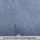 장미의거리9 이미지