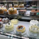 상남동277 이미지