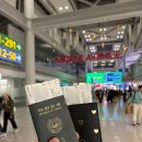 232 | 인천-하와이 직항 아시아나 항공 B777-200 OZ232 &amp; OZ231 탑승 후기 (기내식, 좌석 레그룸)