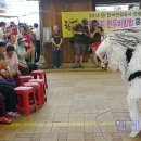 (주) 천지관광 이미지