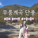 동해어린이집 | [동해] 무릉계곡 단풍 | 아이랑 가을나들이 가기 좋은 무릉반석 삼화사