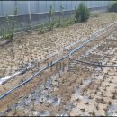 재한농장 이미지