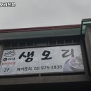 하계생오리 이미지