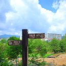 연화산유원지 이미지