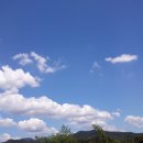 둥이농장 이미지