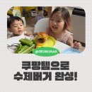 준서농장 | 쿠팡템으로 수제버거 만들기! 더와규 소고기패티 리얼 후기