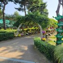 황금수퍼 | 광주근교 아이랑 가볼만한곳 추천! 가을축제 함평 국향대전에서 황금박쥐 본 후기