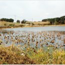 남풍소류지 이미지