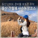 황금사슴농장 이미지