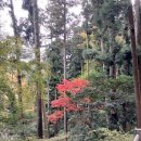 오사카17 - 폭포 아래 료안지에서 슈겐도를 생각하다! 이미지