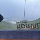 [트래블리그] 나만의 휴식 레시피, 리틀 포레스트 in 하동 후기콘텐츠