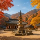 브라운도트호텔 양산서창점 | 🌿 양산 여행 블로그