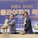 디플라이 - 광산구 | 디플라이
