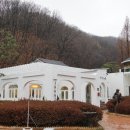 이다의숲 이미지