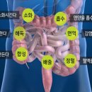 건강한테라피 이미지