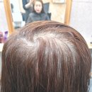 살롱드박헤어