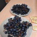 한울타리농장 이미지