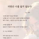 251106. 묵상글 ( 연중 31주간 목요일. - 나는, 하나쯤이 아니다. 너도!. 등 ) 이미지