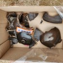 지금이순간 이미지