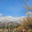 반곡회관 | [전남 구례] 구례 산수유 축제, 반곡마을 봄 여행지로 추천 (+맛집)