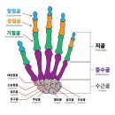 혈위의 탐색 이미지