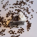 윈윈코리아 이미지