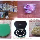 파티앤 캣 이미지