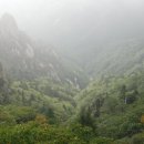 공룡발톱 이미지